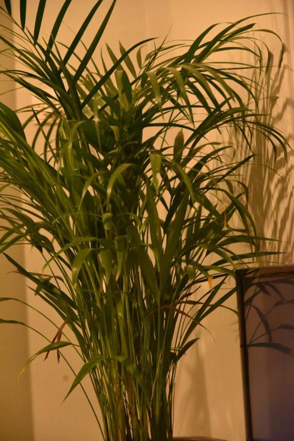 Blue Lotus Apartment Kavála ภายนอก รูปภาพ